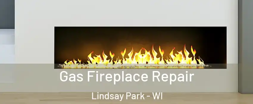 Gas Fireplace Repair Lindsay Park - WI