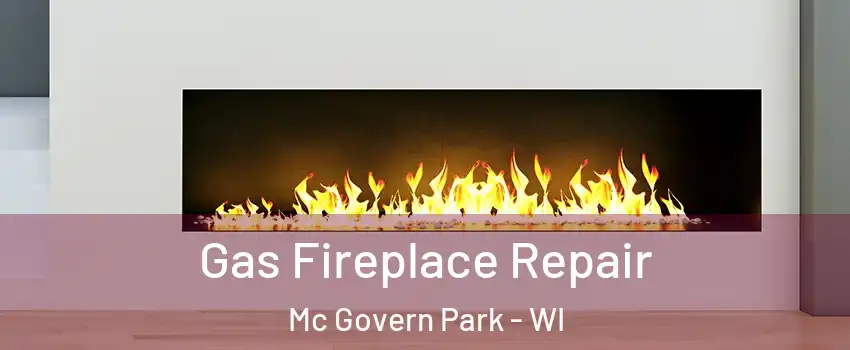 Gas Fireplace Repair Mc Govern Park - WI