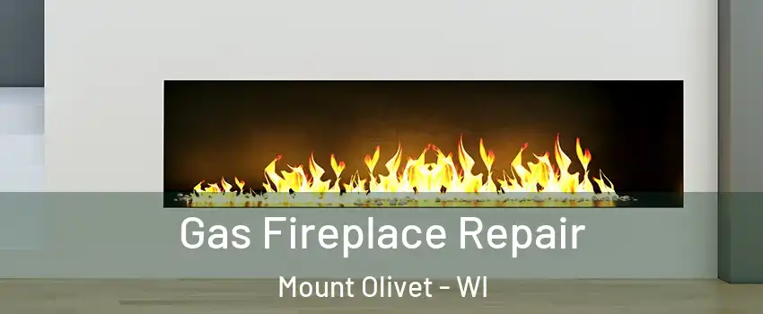 Gas Fireplace Repair Mount Olivet - WI