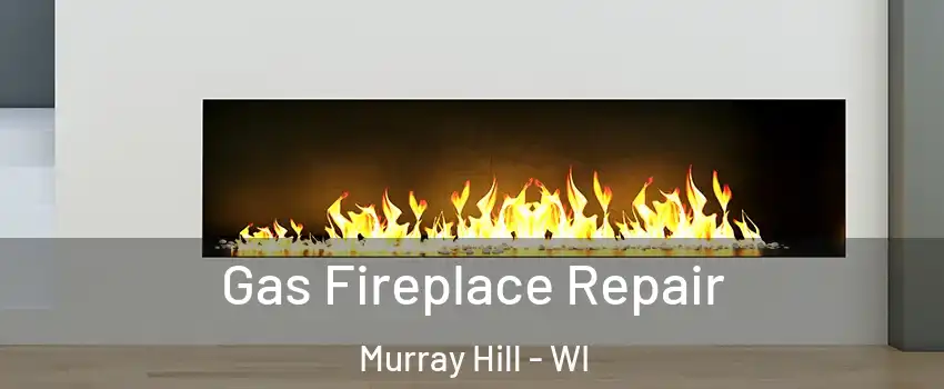 Gas Fireplace Repair Murray Hill - WI