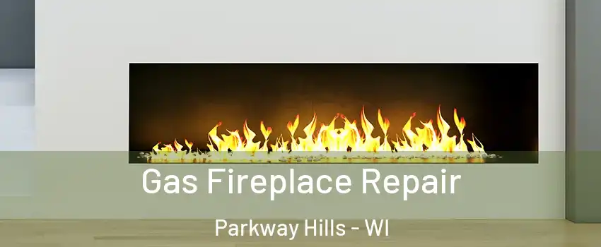 Gas Fireplace Repair Parkway Hills - WI