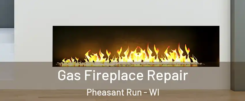 Gas Fireplace Repair Pheasant Run - WI