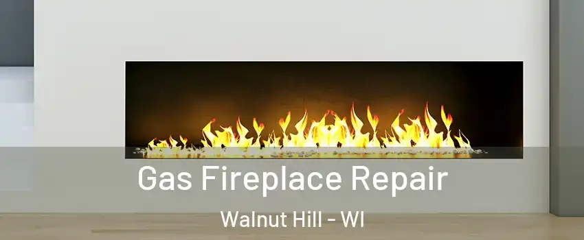 Gas Fireplace Repair Walnut Hill - WI