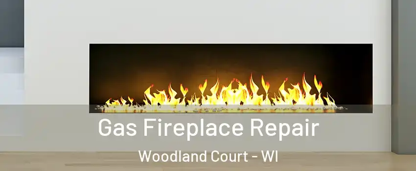 Gas Fireplace Repair Woodland Court - WI