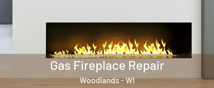 Gas Fireplace Repair Woodlands - WI