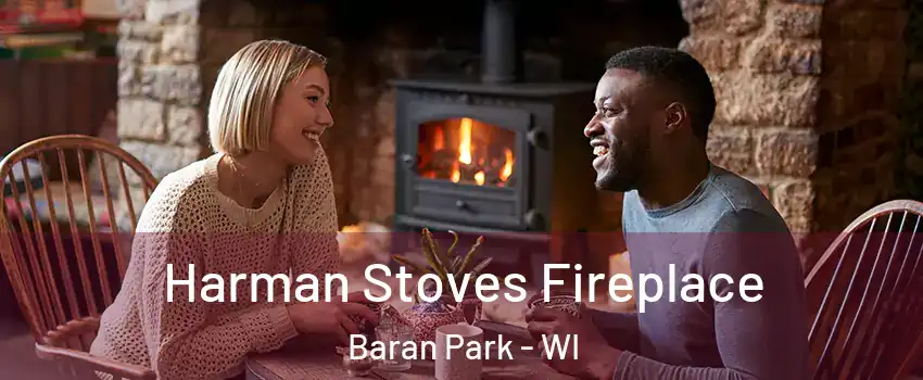 Harman Stoves Fireplace Baran Park - WI