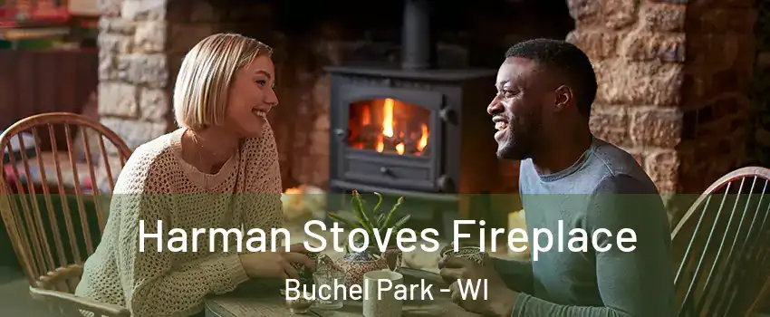 Harman Stoves Fireplace Buchel Park - WI