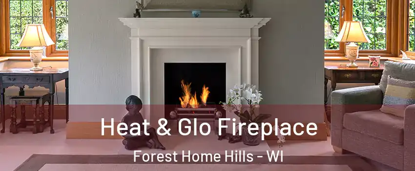 Heat & Glo Fireplace Forest Home Hills - WI