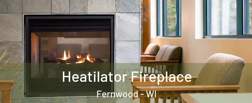 Heatilator Fireplace Fernwood - WI