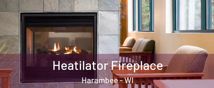 Heatilator Fireplace Harambee - WI