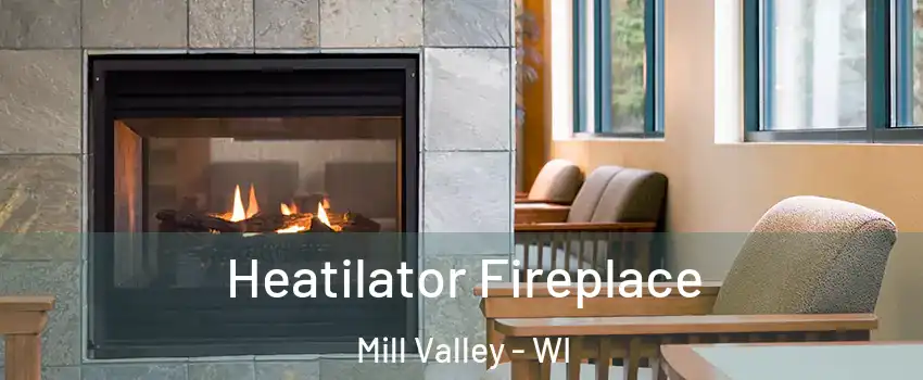 Heatilator Fireplace Mill Valley - WI