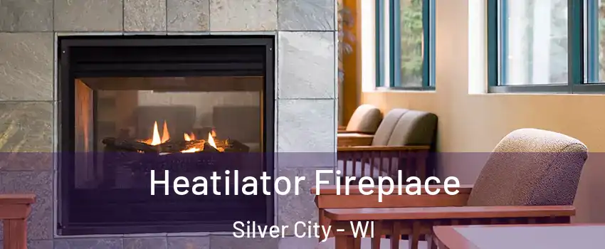 Heatilator Fireplace Silver City - WI