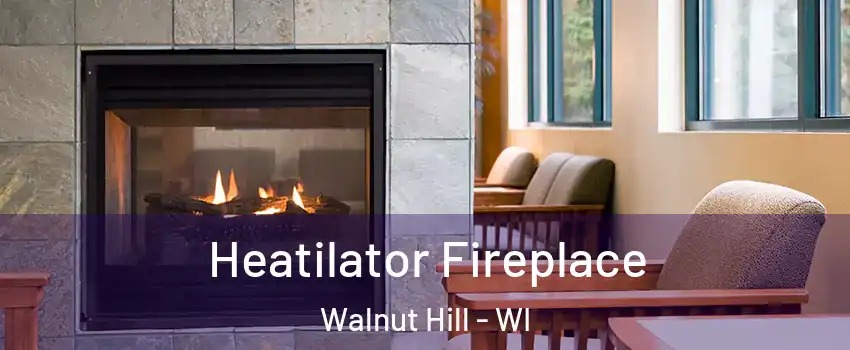 Heatilator Fireplace Walnut Hill - WI