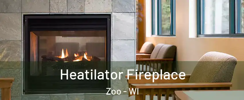 Heatilator Fireplace Zoo - WI