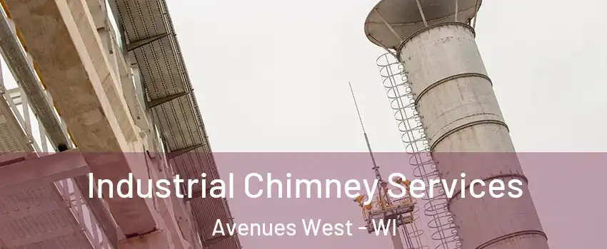 Industrial Chimney Services Avenues West - WI