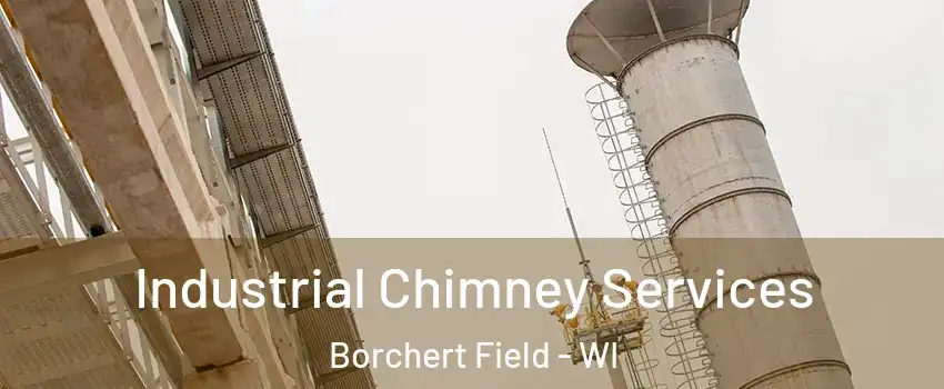 Industrial Chimney Services Borchert Field - WI