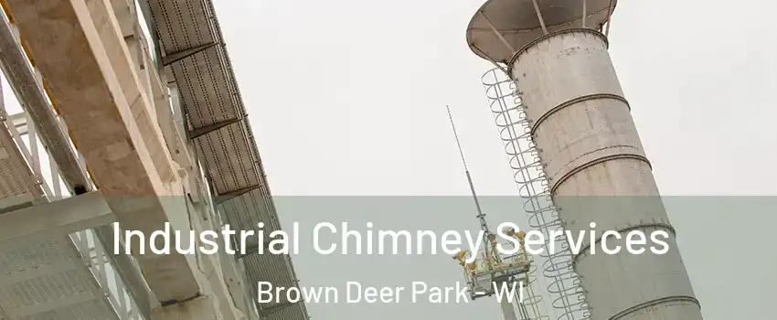 Industrial Chimney Services Brown Deer Park - WI