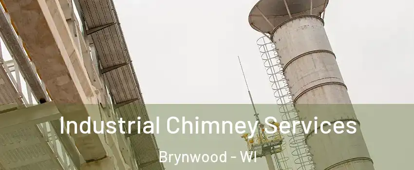 Industrial Chimney Services Brynwood - WI