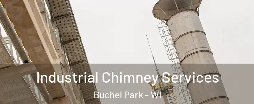 Industrial Chimney Services Buchel Park - WI