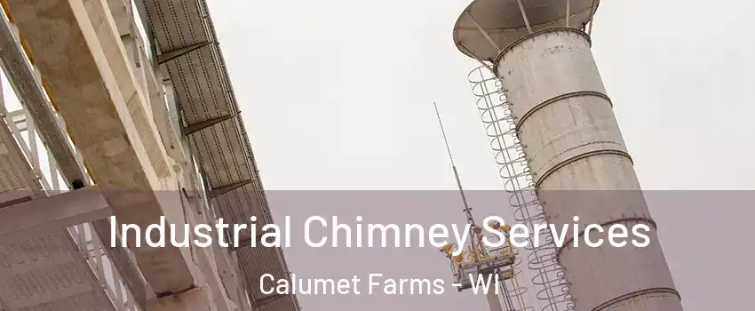 Industrial Chimney Services Calumet Farms - WI