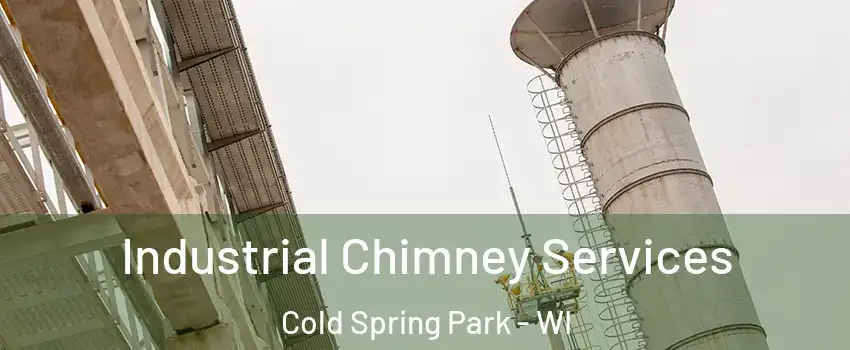 Industrial Chimney Services Cold Spring Park - WI