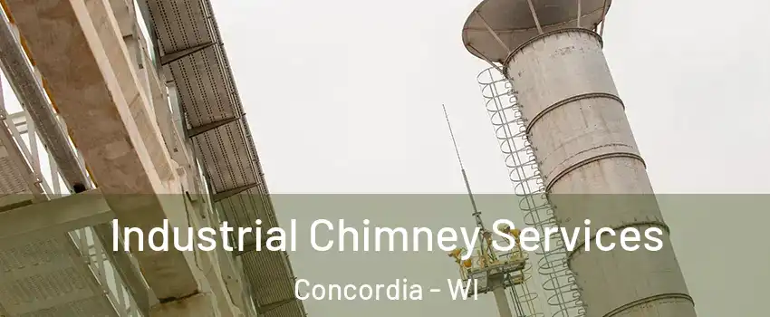 Industrial Chimney Services Concordia - WI