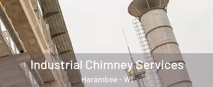 Industrial Chimney Services Harambee - WI