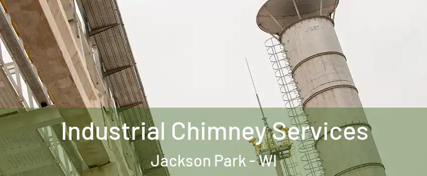 Industrial Chimney Services Jackson Park - WI