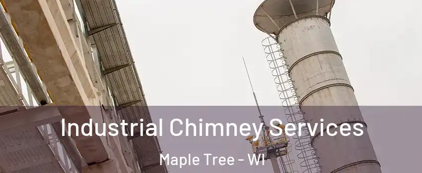 Industrial Chimney Services Maple Tree - WI