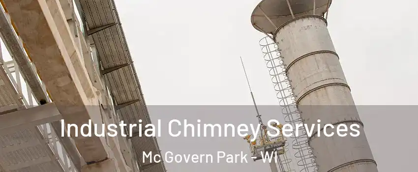 Industrial Chimney Services Mc Govern Park - WI