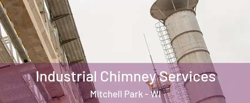 Industrial Chimney Services Mitchell Park - WI