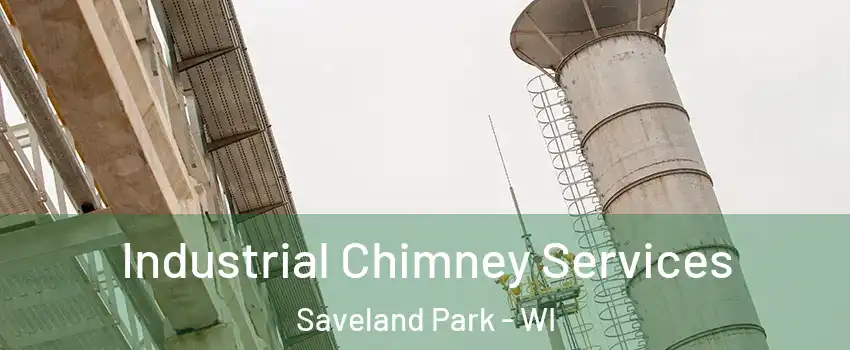 Industrial Chimney Services Saveland Park - WI