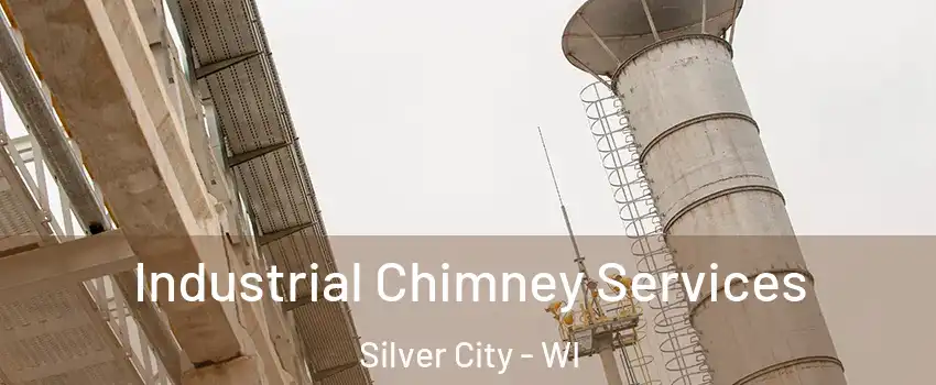 Industrial Chimney Services Silver City - WI