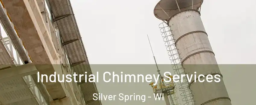 Industrial Chimney Services Silver Spring - WI