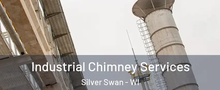 Industrial Chimney Services Silver Swan - WI