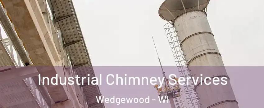 Industrial Chimney Services Wedgewood - WI