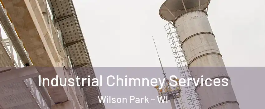 Industrial Chimney Services Wilson Park - WI