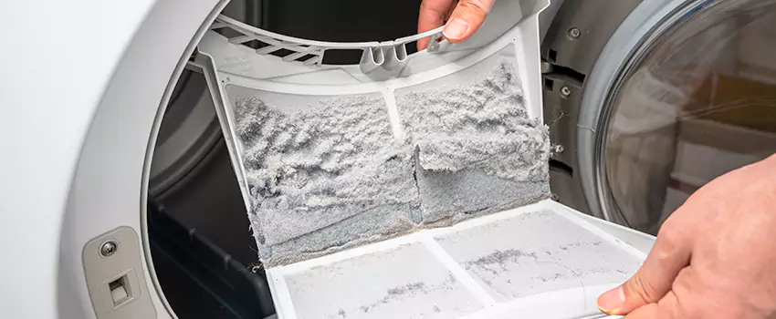 Best Dryer Lint Removal Company in Ridgeview, Wisconsin