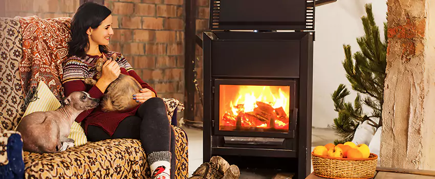 Wood Stove Chimney Cleaning Services in Enderis Park, WI