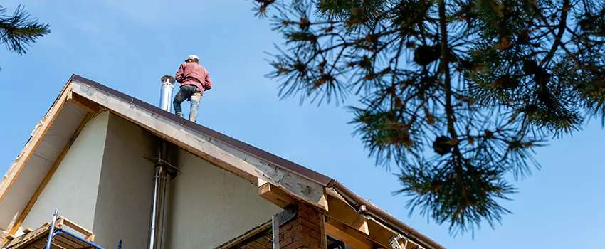 Birds Removal Contractors from Chimney in Haymarket, WI