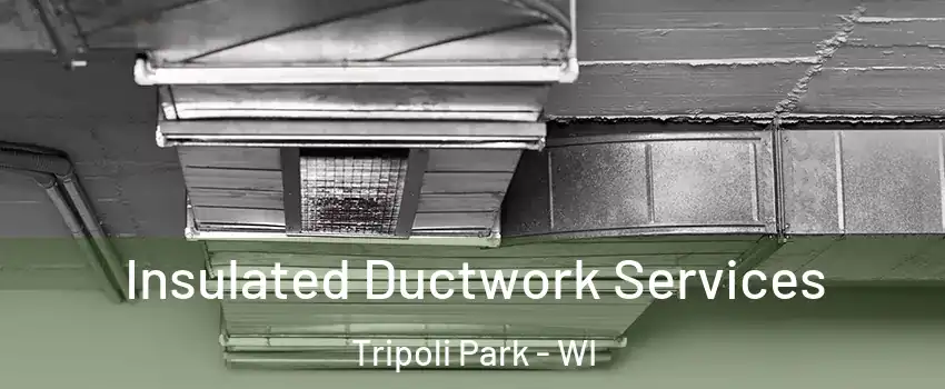 Insulated Ductwork Services Tripoli Park - WI