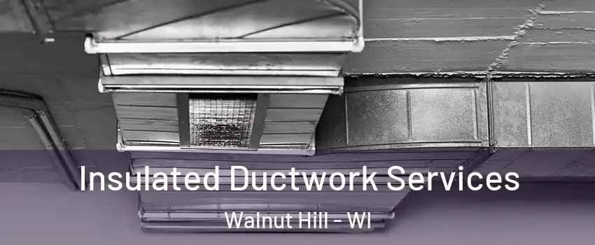 Insulated Ductwork Services Walnut Hill - WI