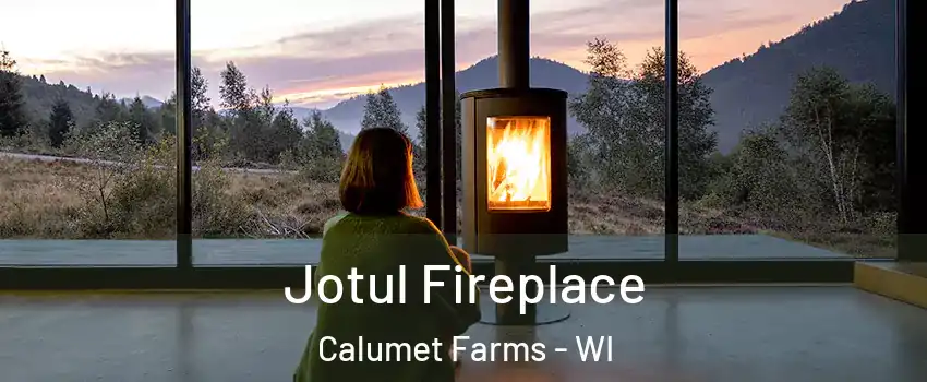 Jotul Fireplace Calumet Farms - WI