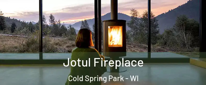 Jotul Fireplace Cold Spring Park - WI