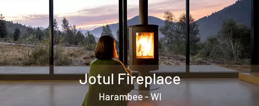 Jotul Fireplace Harambee - WI