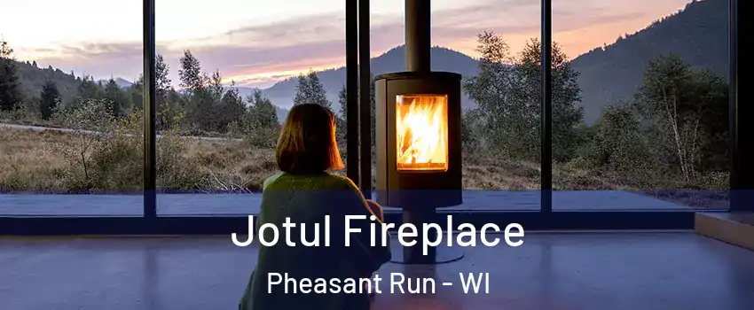 Jotul Fireplace Pheasant Run - WI