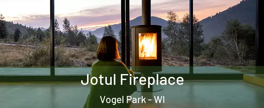 Jotul Fireplace Vogel Park - WI