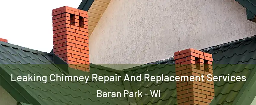 Leaking Chimney Repair And Replacement Services Baran Park - WI