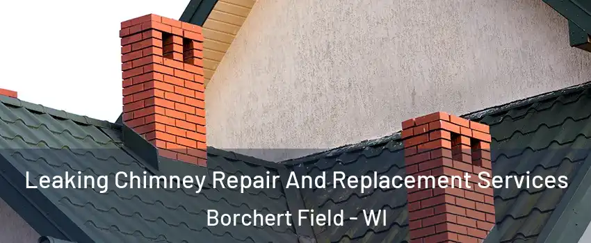 Leaking Chimney Repair And Replacement Services Borchert Field - WI