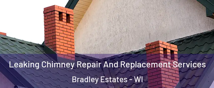 Leaking Chimney Repair And Replacement Services Bradley Estates - WI